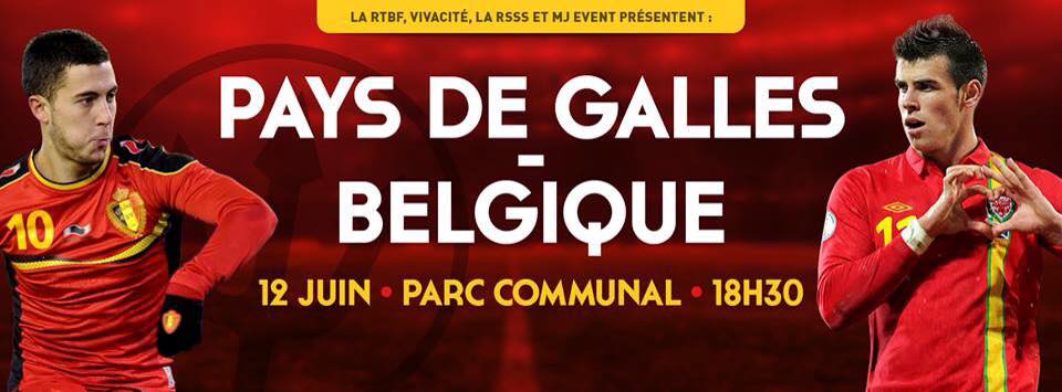Photo de l'évènement Match Pays de Galles – Belgique
